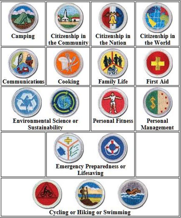 Describe What Merit Badges Are and How They Are Earned